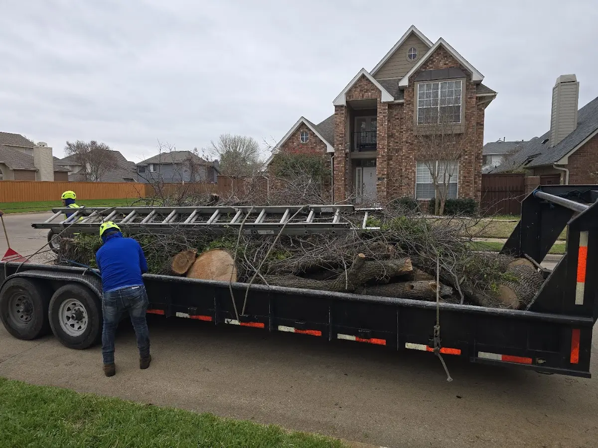 Expert Tree Removal with proper safety equipment in Bloomingburg